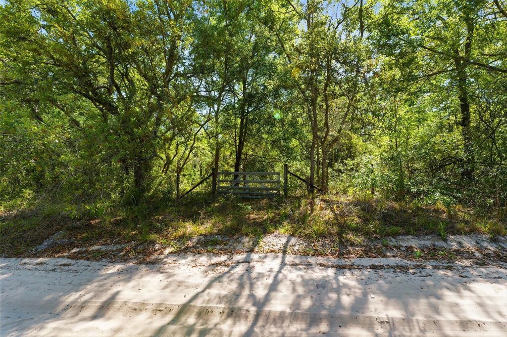 0 Coyote Road Hudson, FL 34669 - Photo 5 of 13