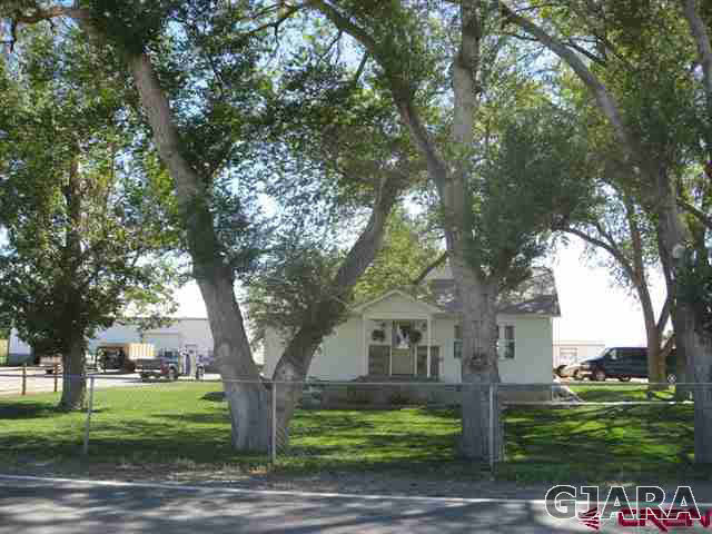 1452 16 Road Loma, CO 81524 - Photo 2 of 13 a large tree in the garden in the front of a house