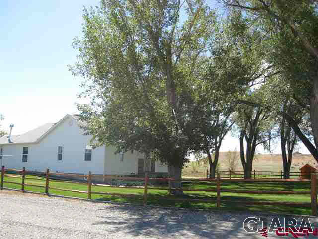 1452 16 Road Loma, CO 81524 - Photo 3 of 13 a view of a park with large trees