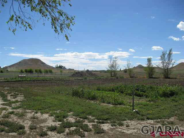 1452 16 Road Loma, CO 81524 - Photo 4 of 13 a view of a town with residential houses