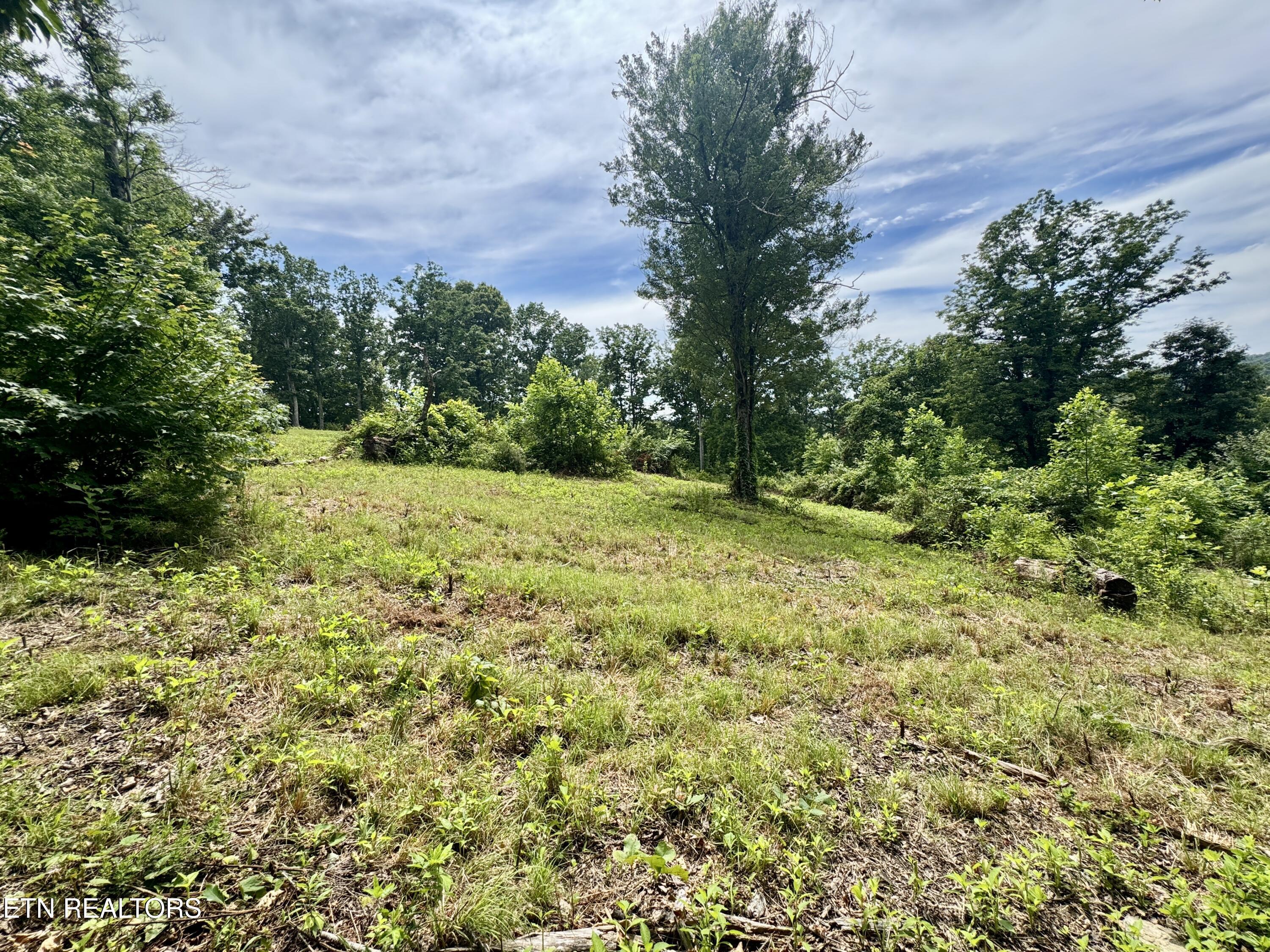 378 Johnson Hollow Road New Tazewell, TN 37825 - Photo 28 of 35 1-28