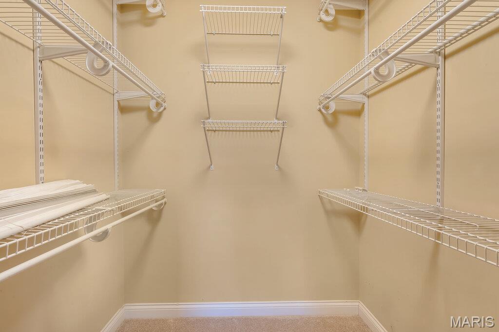 1233 Diamond Valley Drive High Ridge, MO 63049 - Photo 50 of 80