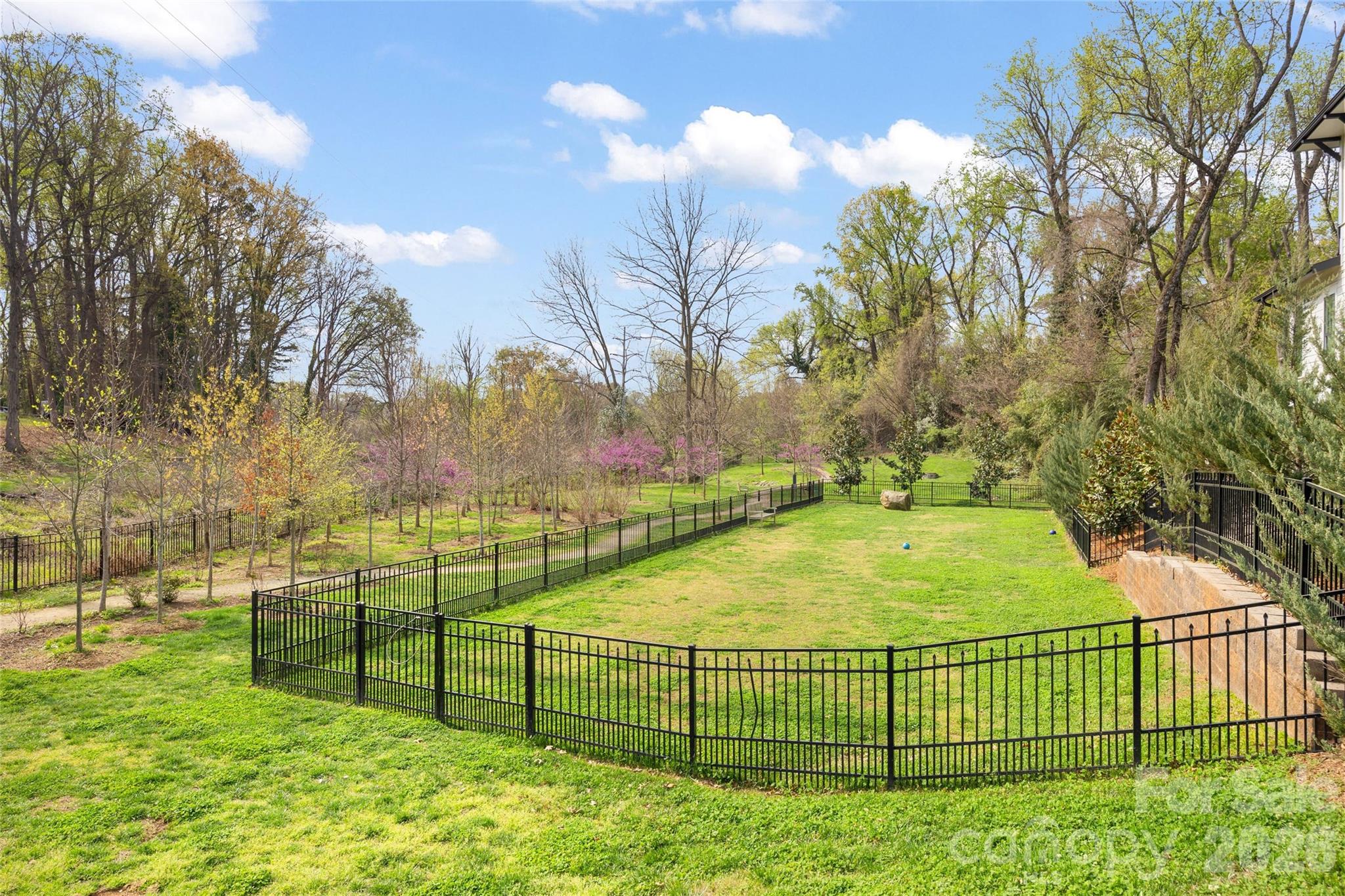 2649 Chesterfield Avenue Charlotte, NC 28205 - Photo 46 of 48