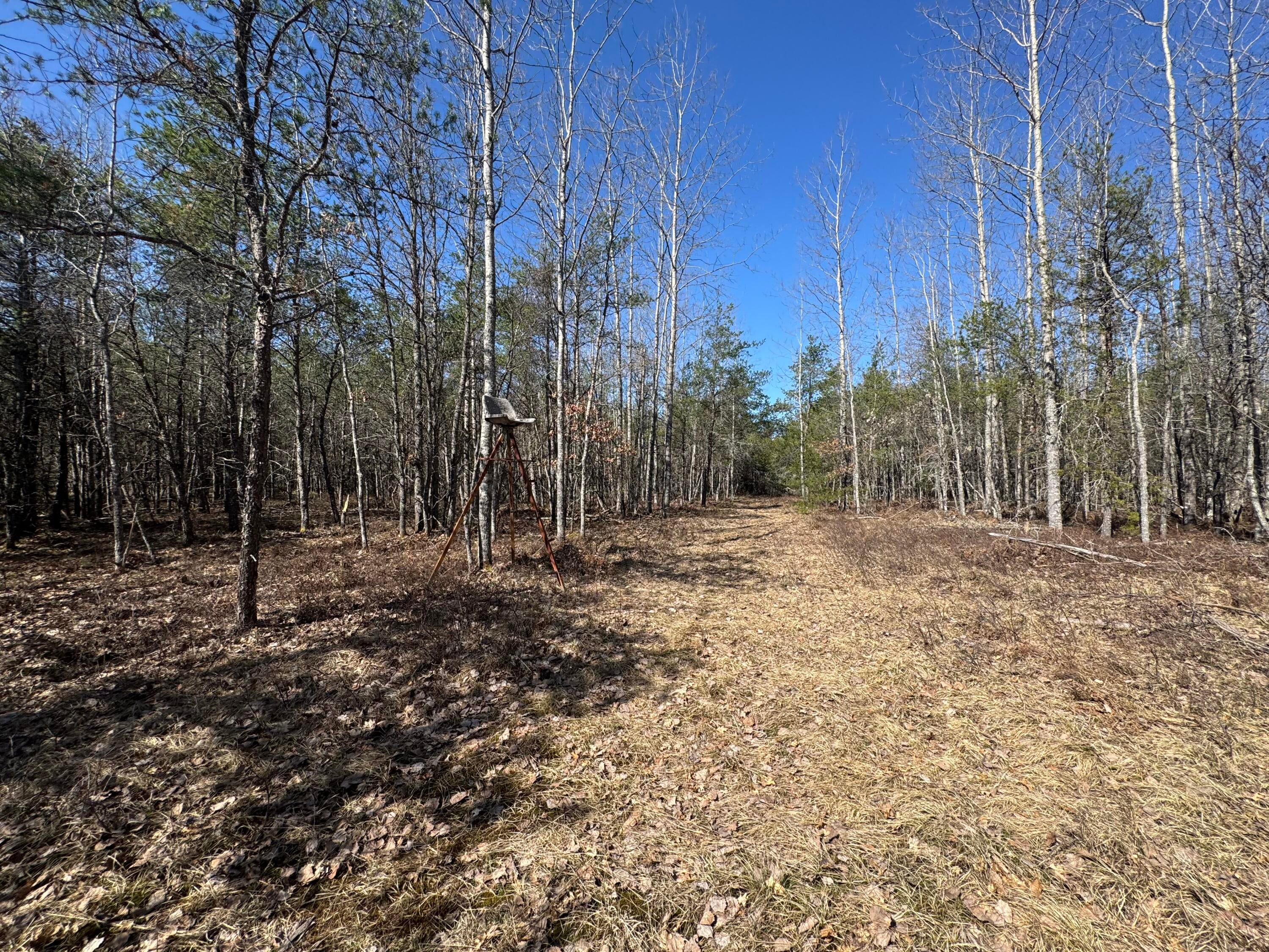 427 Goline Road Grayling, MI 49738 - Photo 33 of 47 Gallery Image 33