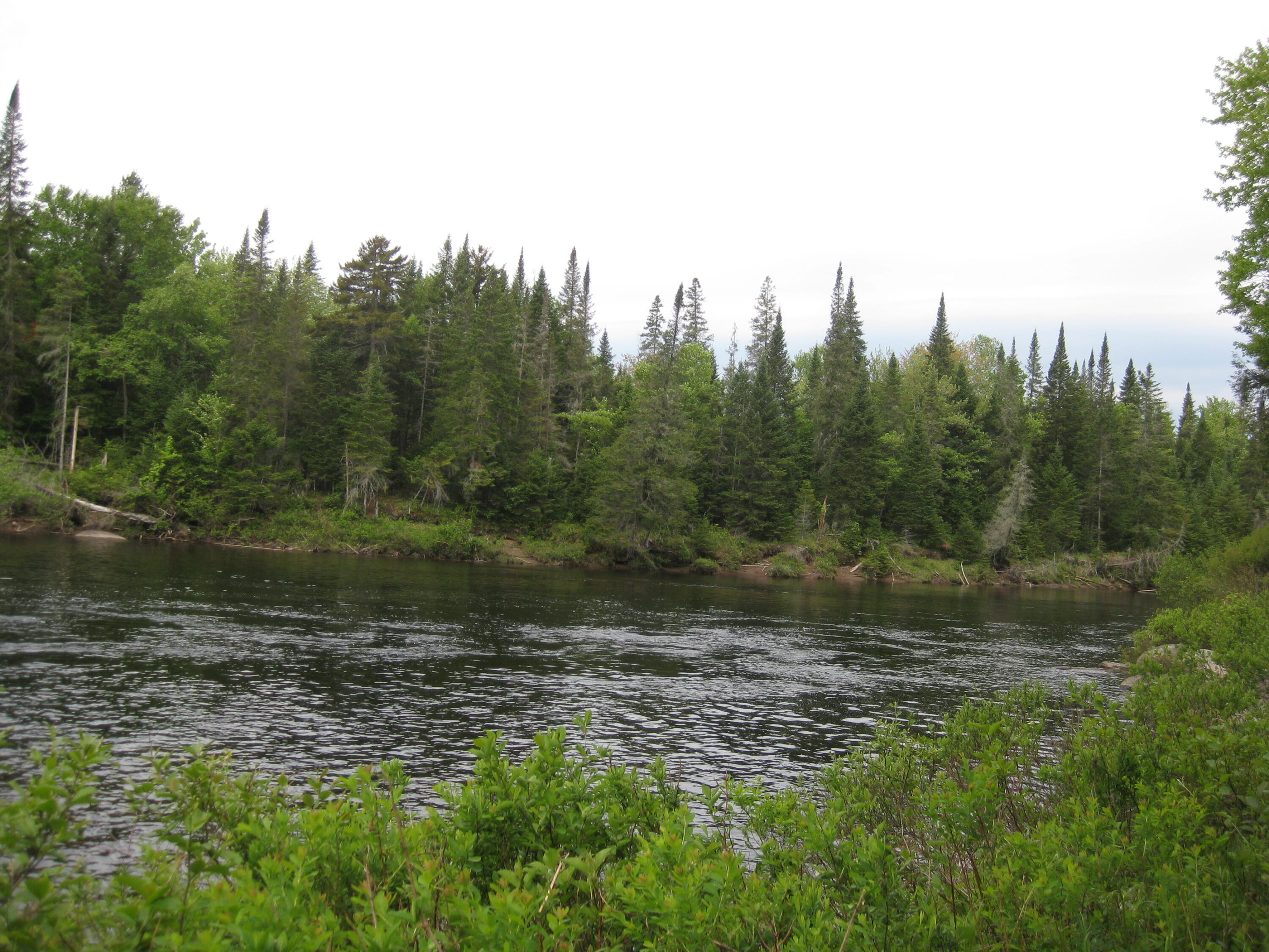 0 Campsite Road Newcomb, NY 12852 - Photo 1 of 4 Gallery Image 1