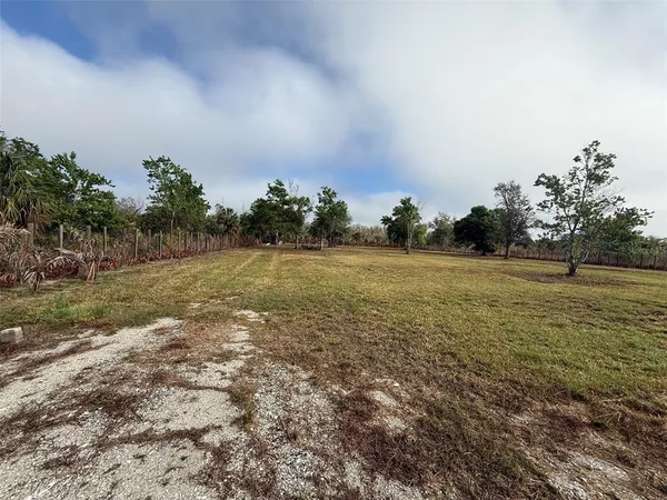 a view of a field with trees in background