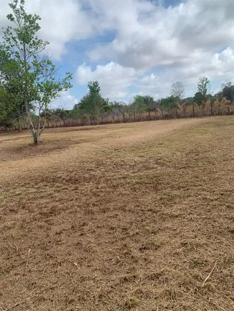 a view of a green field
