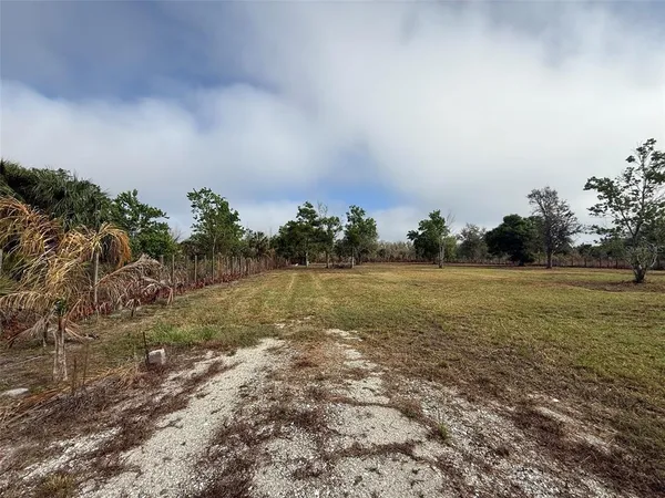 a view of a field with an ocean