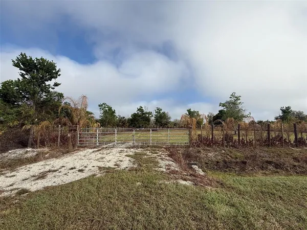 a view of a dry yard with wooden fence