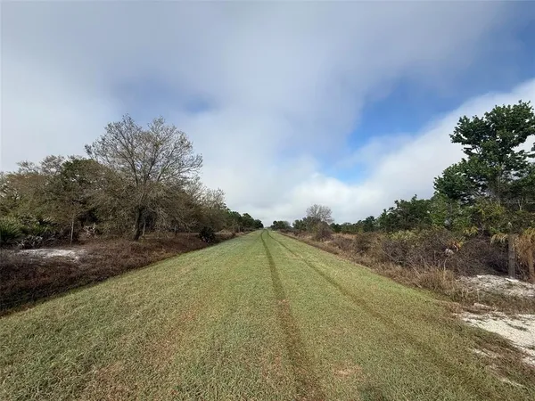 a view of outdoor space with green space