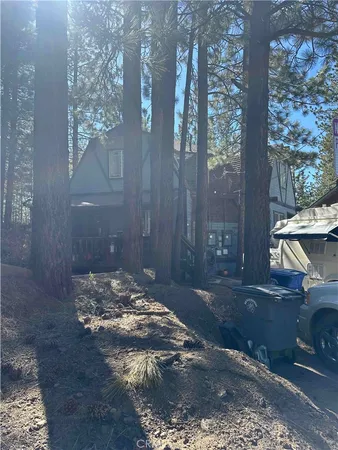 a view of a yard with trees