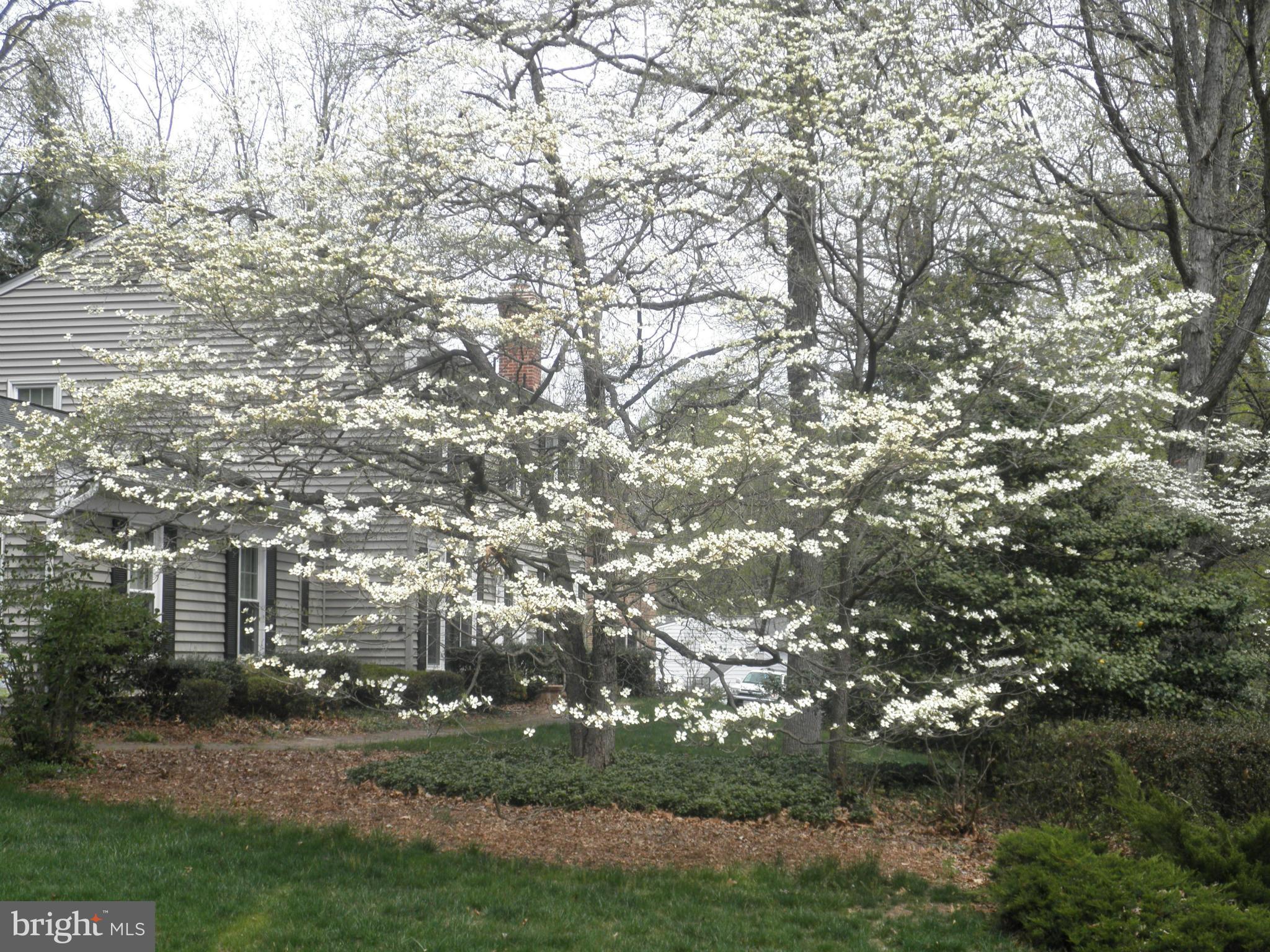 3310 Miller Heights Road Oakton, VA 22124 - Photo 3 of 23 Exterior (Front)