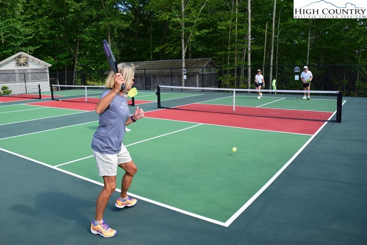 115 North Pinnacle Ridge Road, Unit 47 Beech Mountain, NC 28604 - Photo 28 of 33 a view of a park