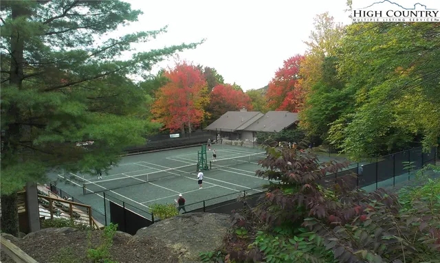 a view of a swimming pool with a yard