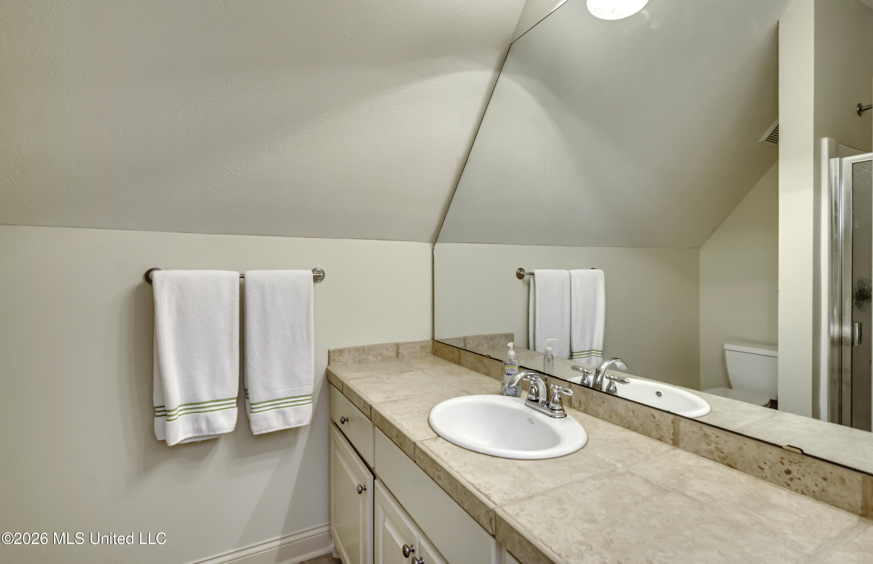 241 Sycamore Lane Madison, MS 39110 - Photo 51 of 59 241 Sycamore--69