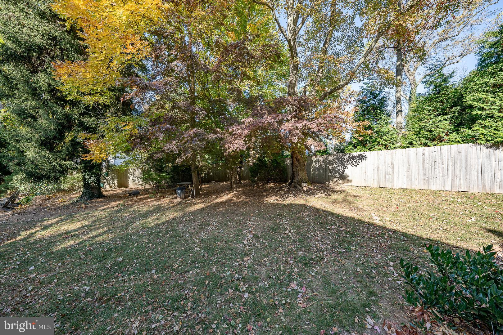 429 Conestoga Road Wayne, PA 19087 - Photo 31 of 33 a view of a yard with trees