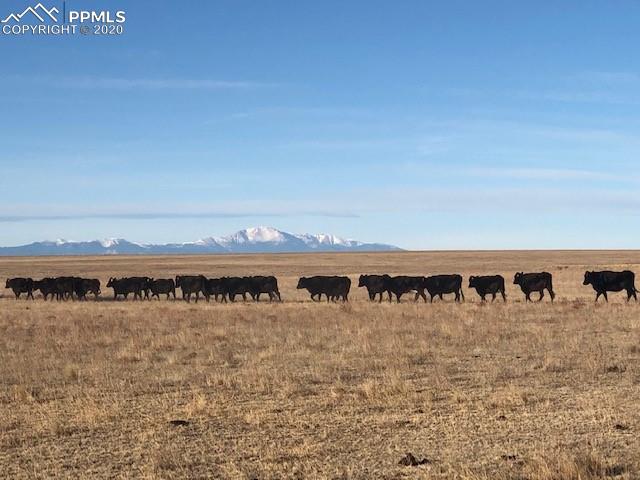 Tbd Sengbeil Road Yoder, CO 80864 - Photo 15 of 16