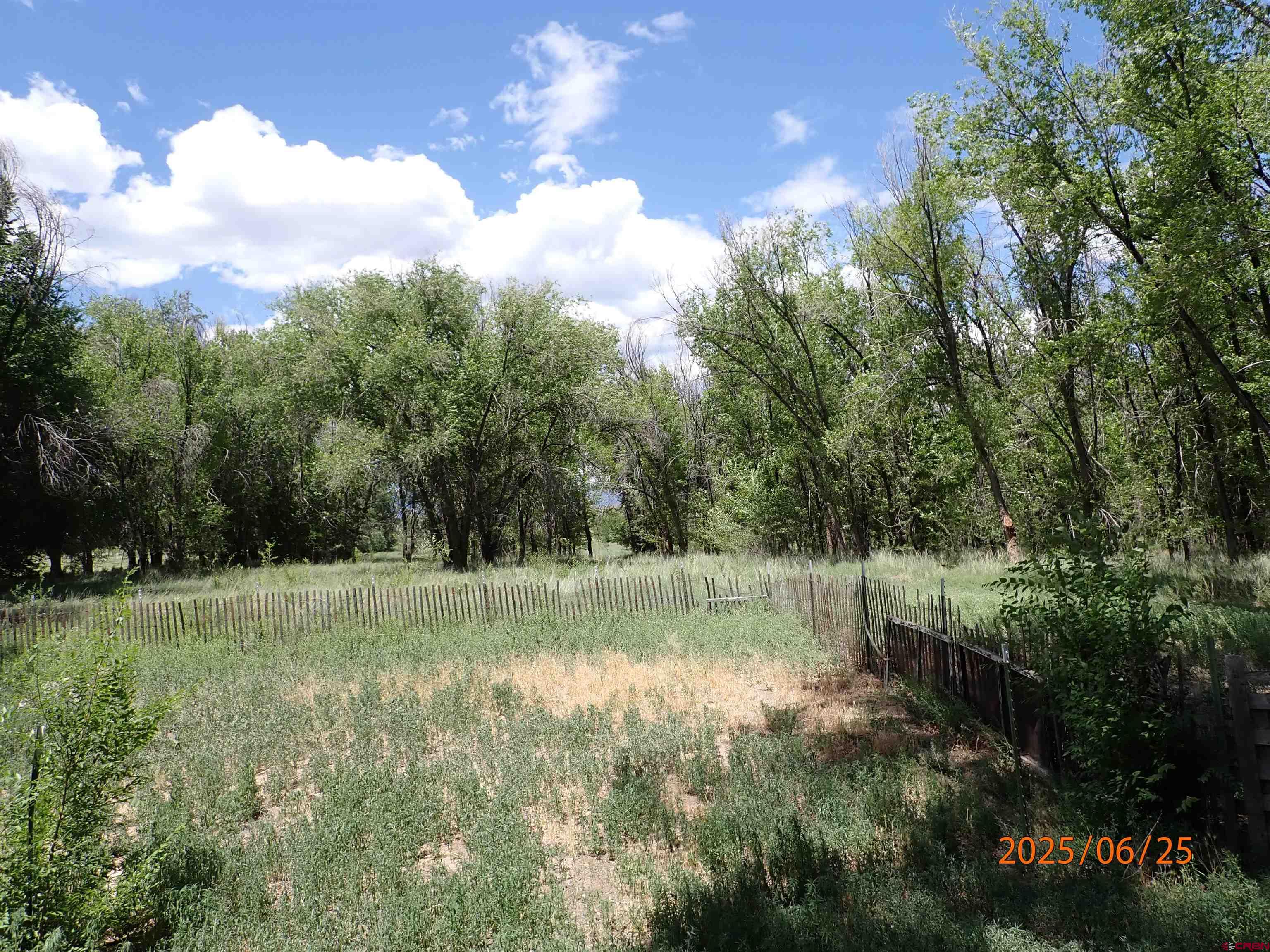 21391 Kaiser Road Austin, CO 81410 - Photo 11 of 12 a view of outdoor space with deck and yard