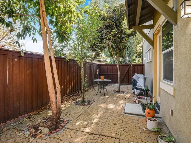 a view of backyard with a table and chairs and a large tree