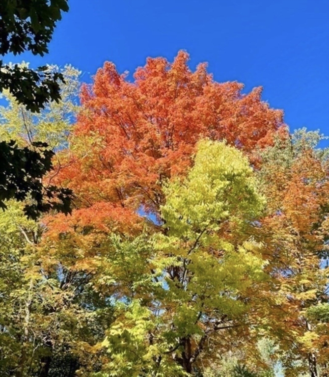 13 Old County Road Wales, MA 01081 - Photo 3 of 6 Gallery Image 3