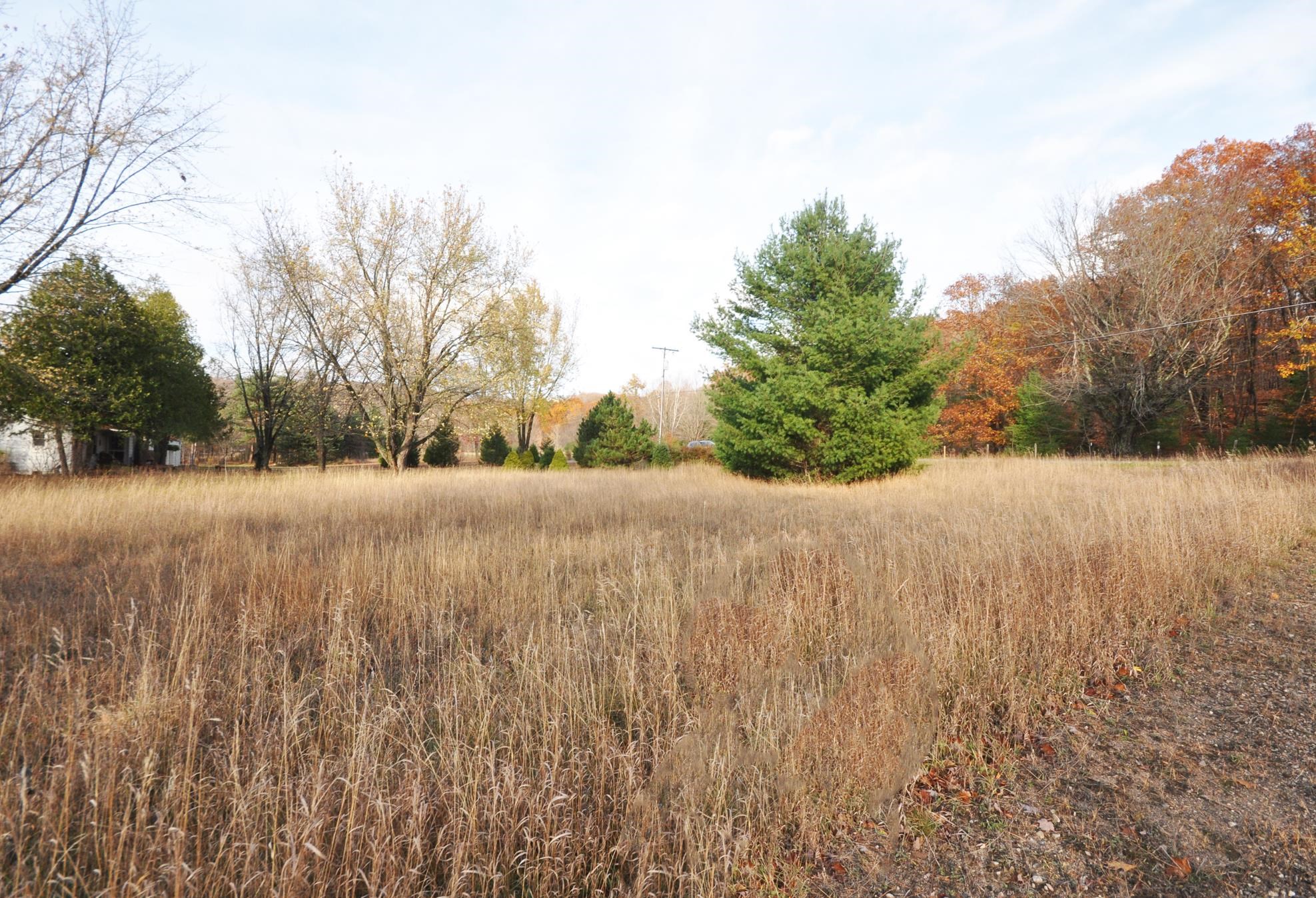 0 South Dunns Farm Road Maple City, MI 49664 - Photo 8 of 12