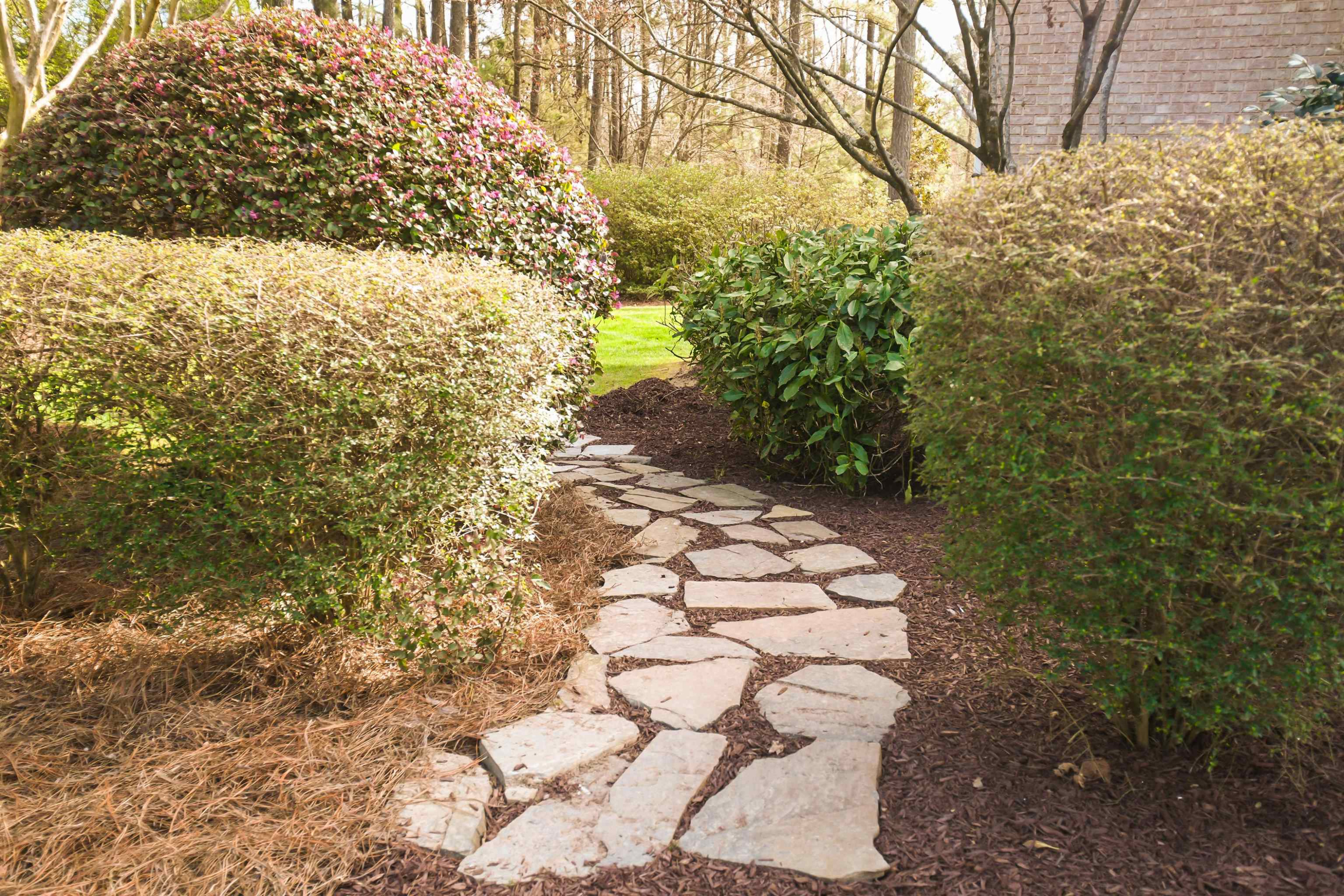 6121 Pulley Town Road Wake Forest, NC 27587 - Photo 5 of 47 Photo 5