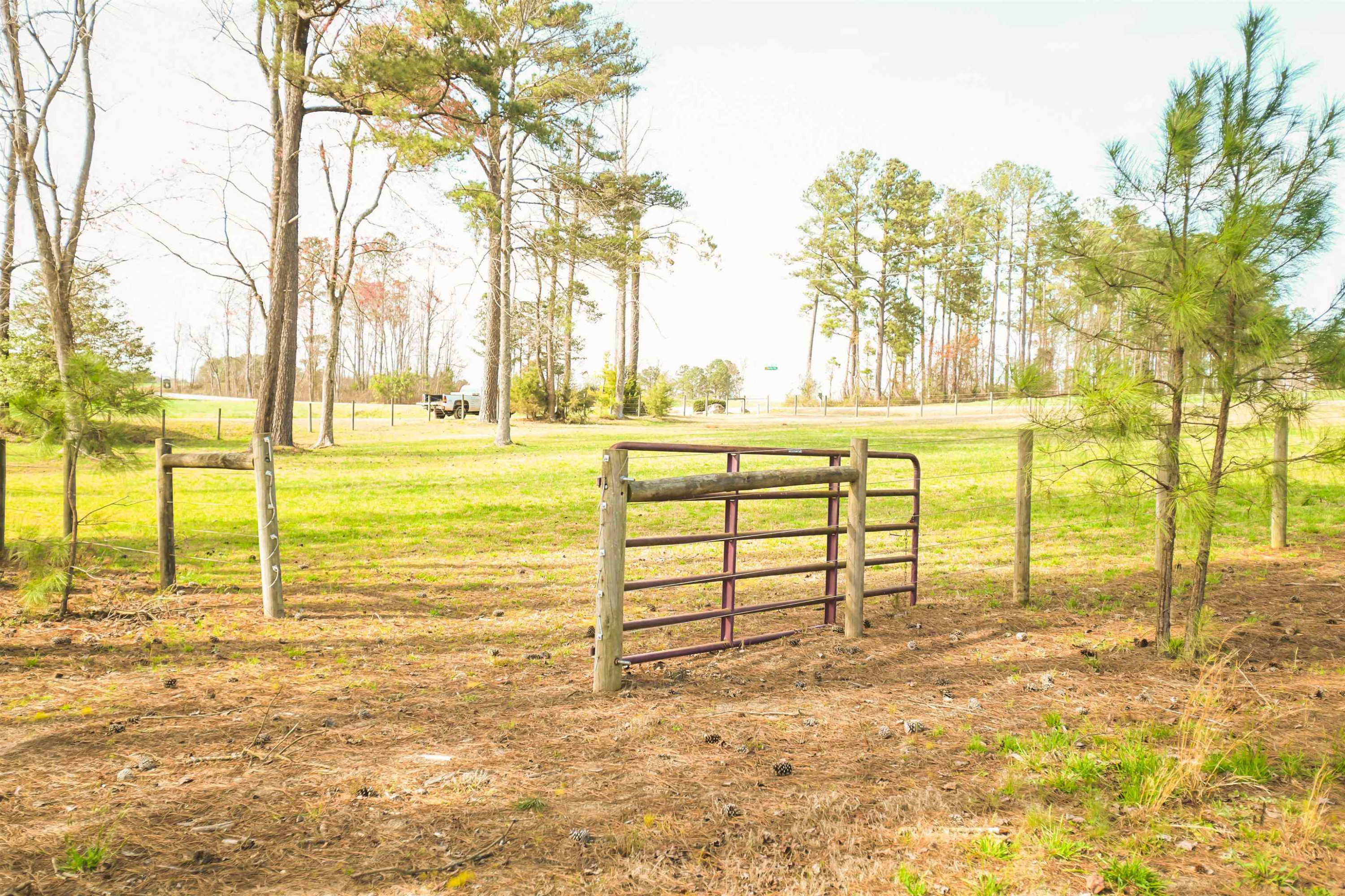 6121 Pulley Town Road Wake Forest, NC 27587 - Photo 6 of 47 Photo 6