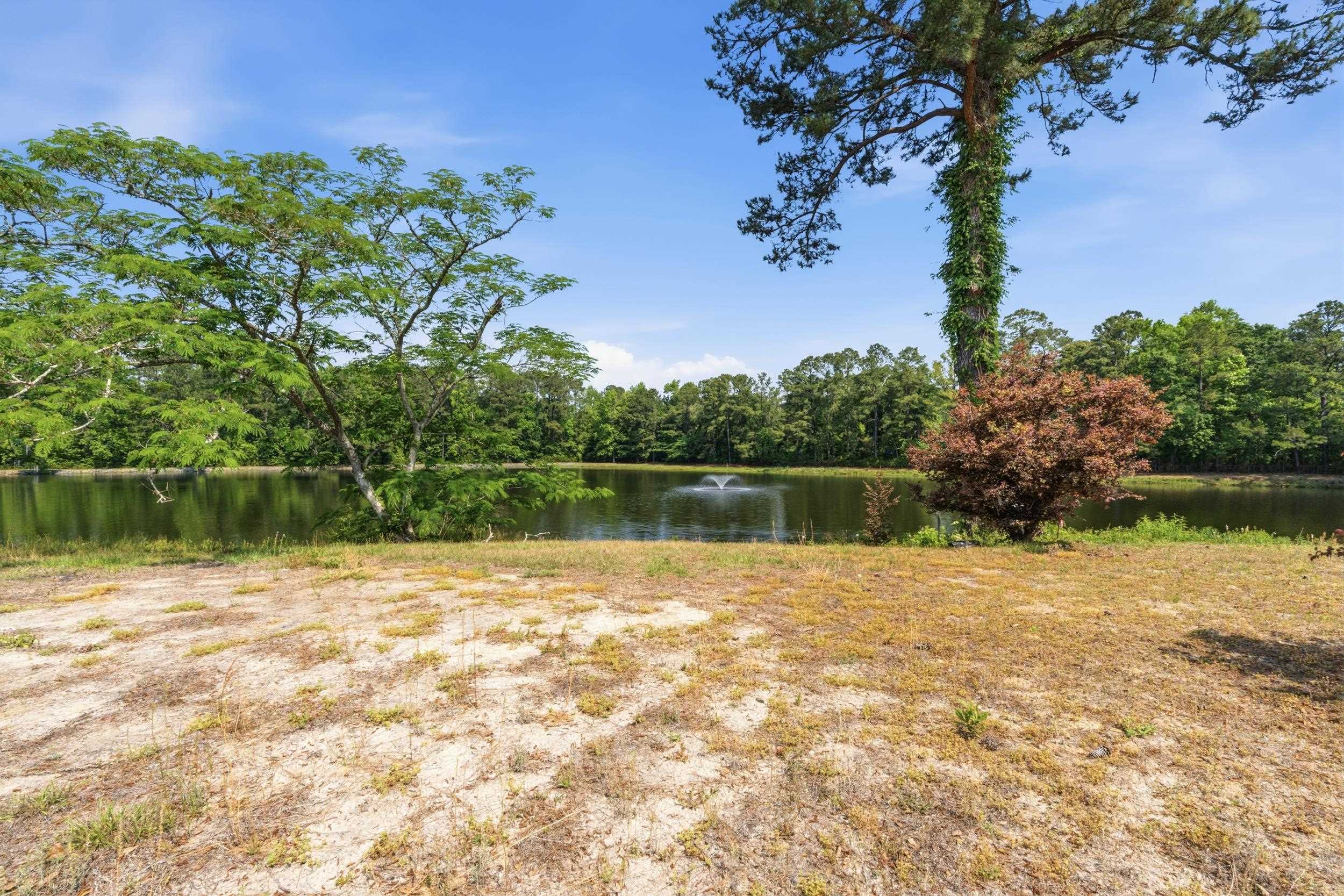 1035 Martin Lane Conway, SC 29526 - Photo 47 of 61