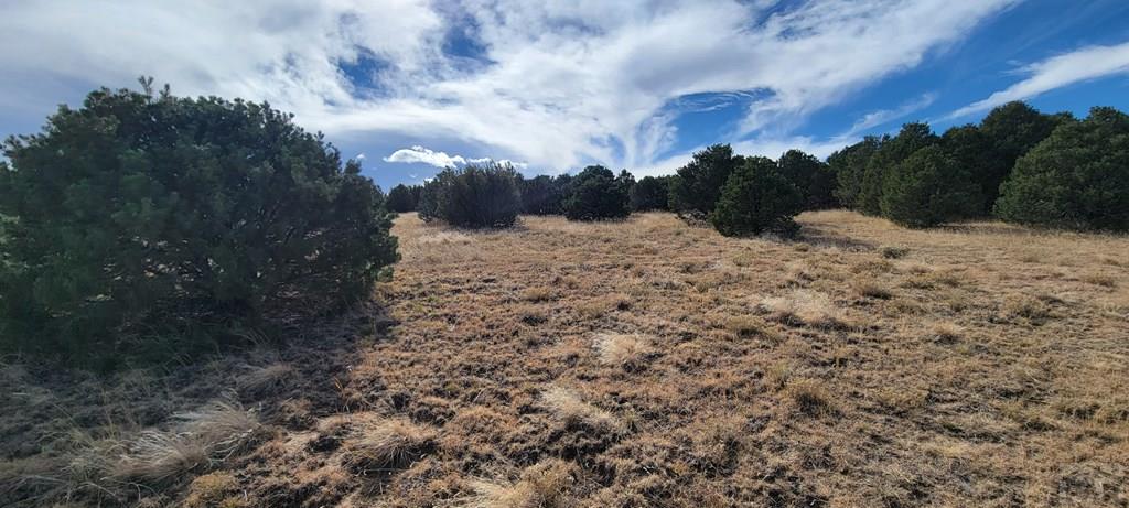 Lot 34 Silver Spur Road Walsenburg, CO 81089 - Photo 13 of 43