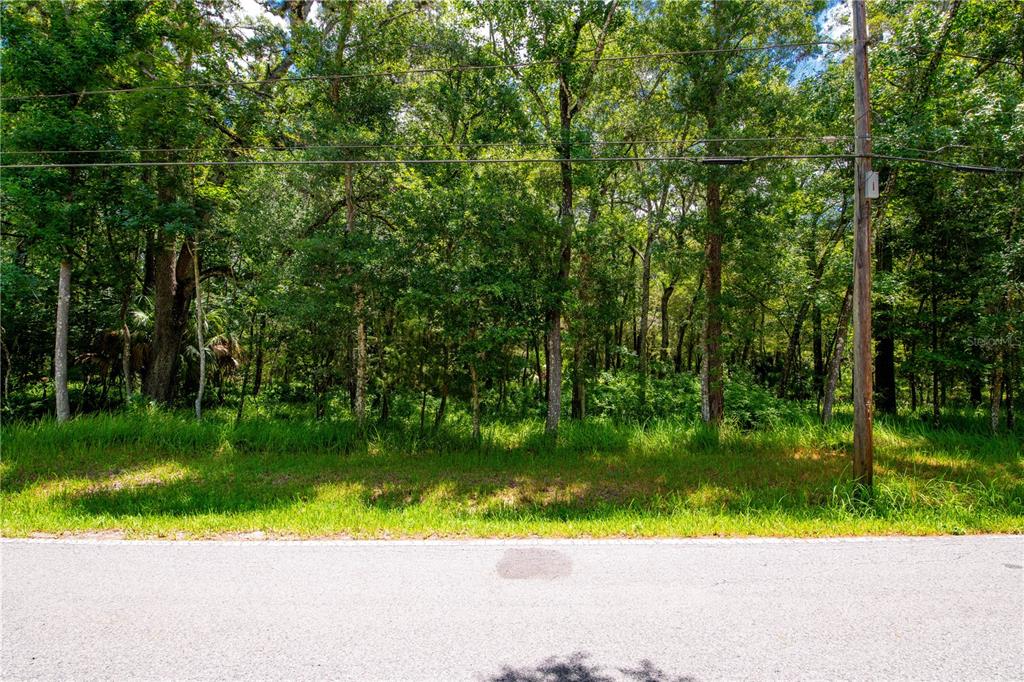 Mitchell Road Brooksville, FL 34601 - Photo 6 of 15 Gallery Image 6