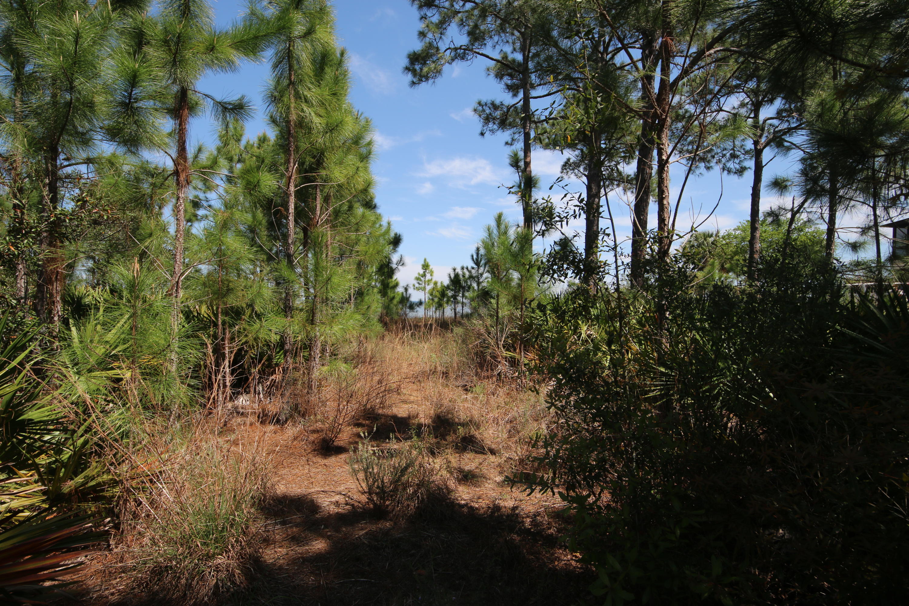 Lot 11 Driftwood Point Road Santa Rosa Beach, FL 32459 - Photo 11 of 21 Gallery Image 11