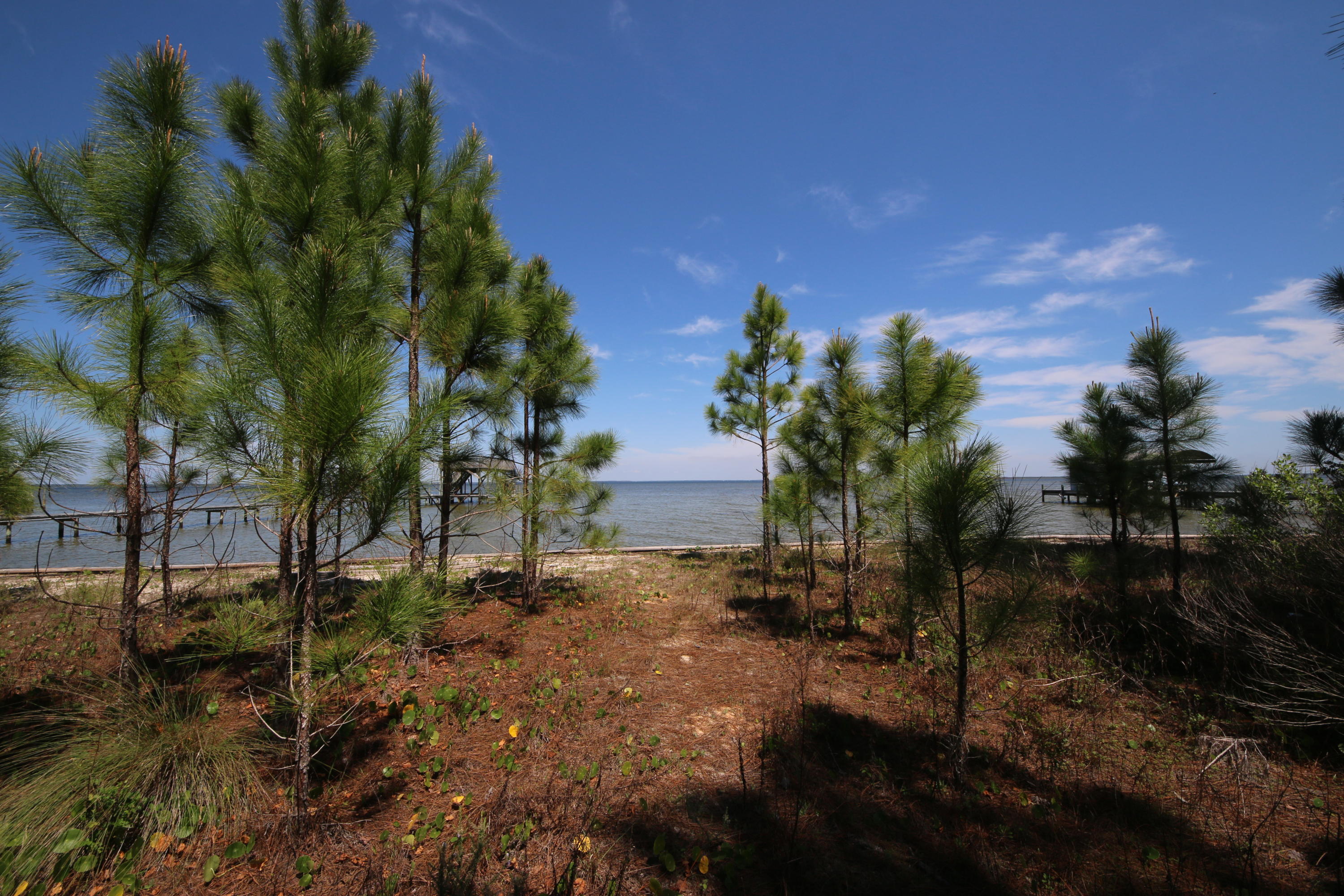 Lot 11 Driftwood Point Road Santa Rosa Beach, FL 32459 - Photo 14 of 21 Gallery Image 14