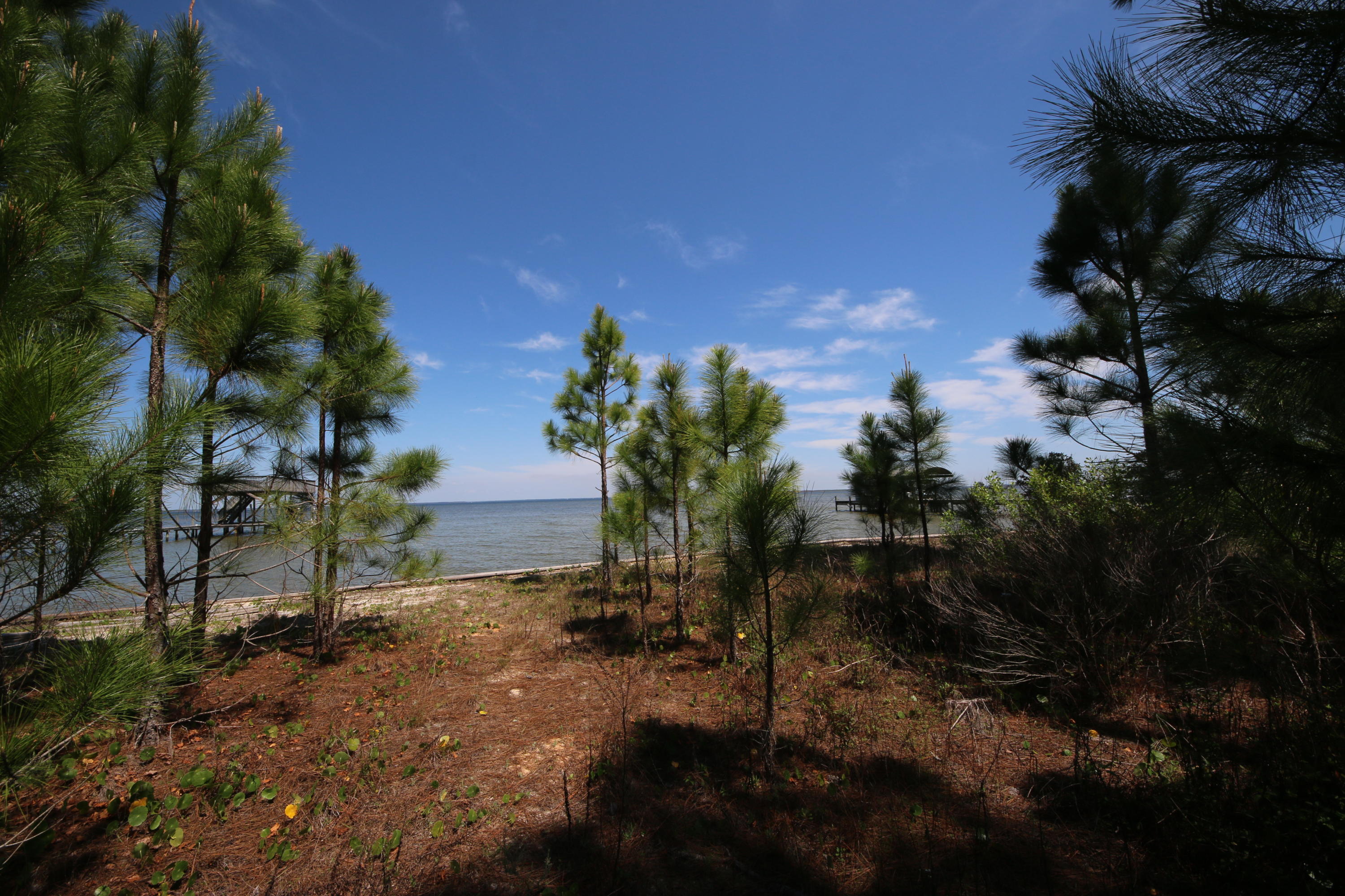 Lot 11 Driftwood Point Road Santa Rosa Beach, FL 32459 - Photo 15 of 21 Gallery Image 15