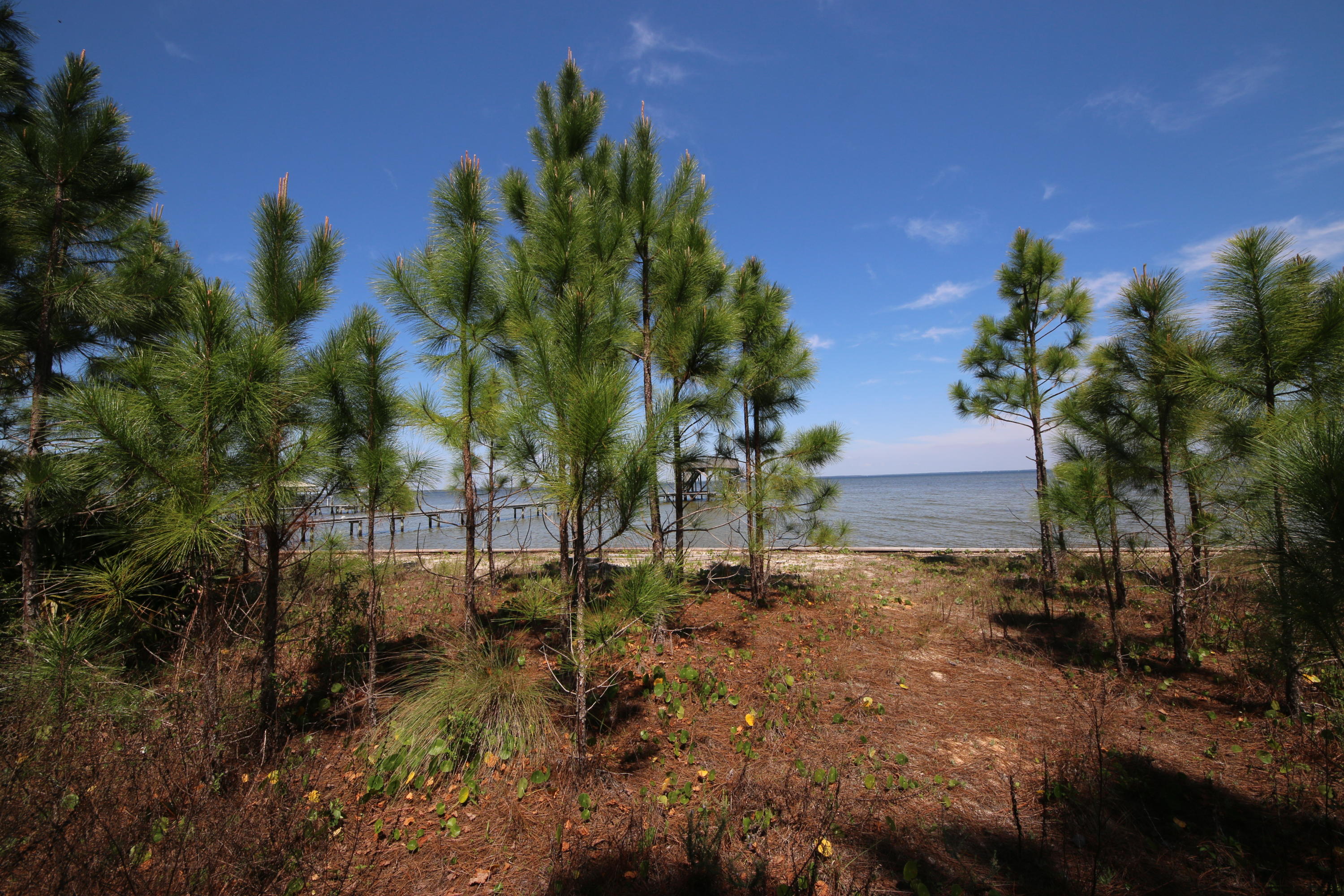 Lot 11 Driftwood Point Road Santa Rosa Beach, FL 32459 - Photo 16 of 21 Gallery Image 16