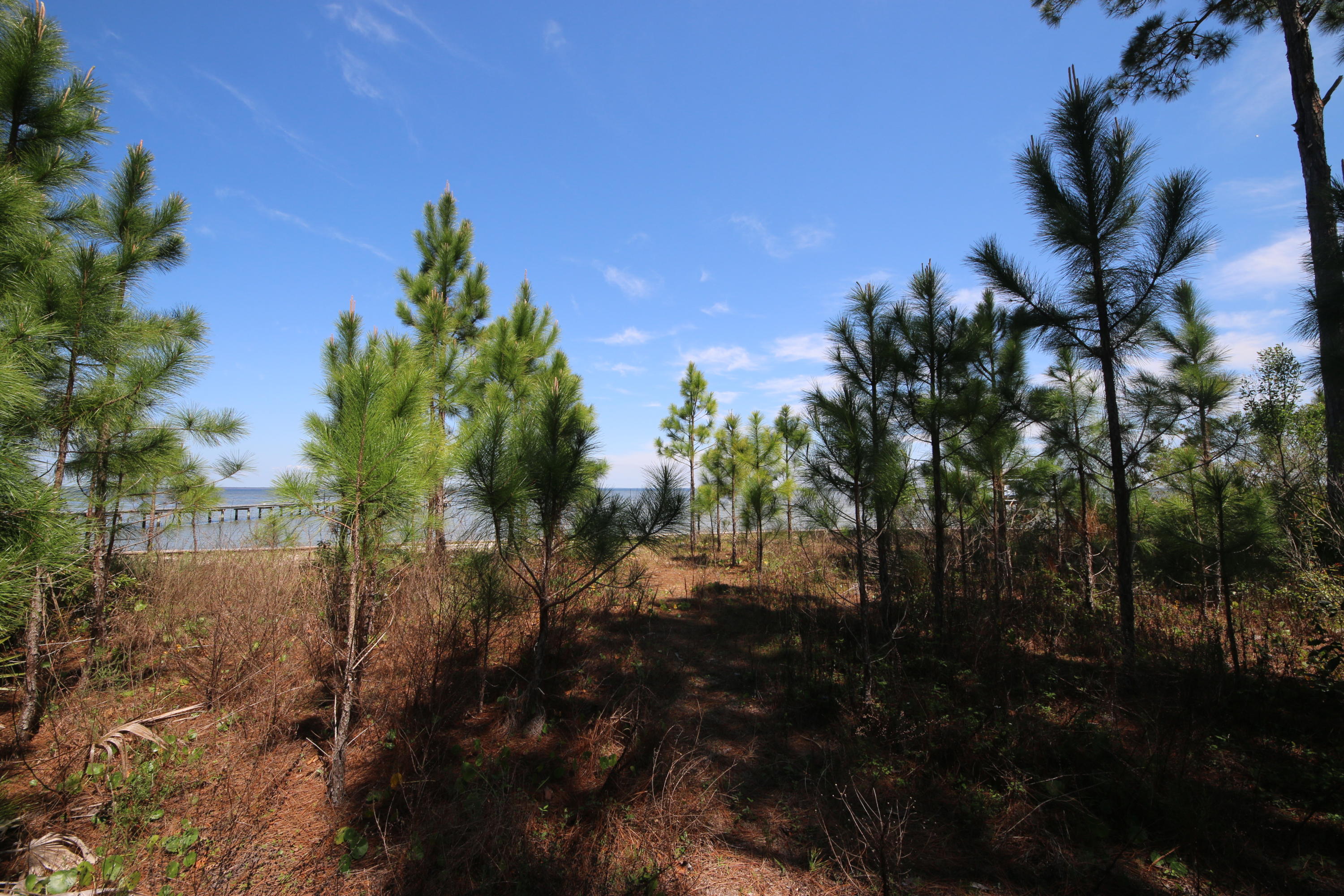 Lot 11 Driftwood Point Road Santa Rosa Beach, FL 32459 - Photo 17 of 21 Gallery Image 17