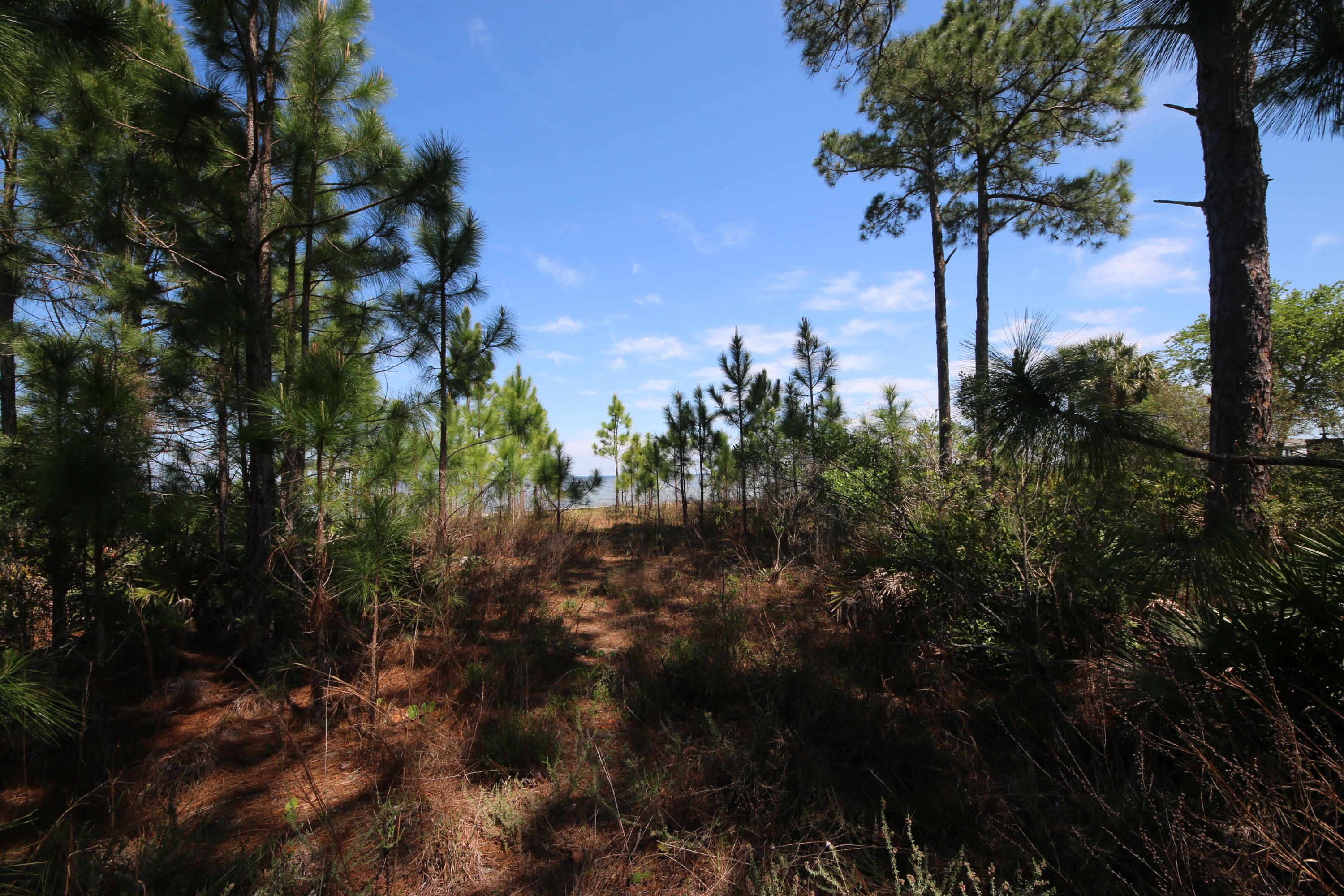 Lot 11 Driftwood Point Road Santa Rosa Beach, FL 32459 - Photo 18 of 21 Gallery Image 18