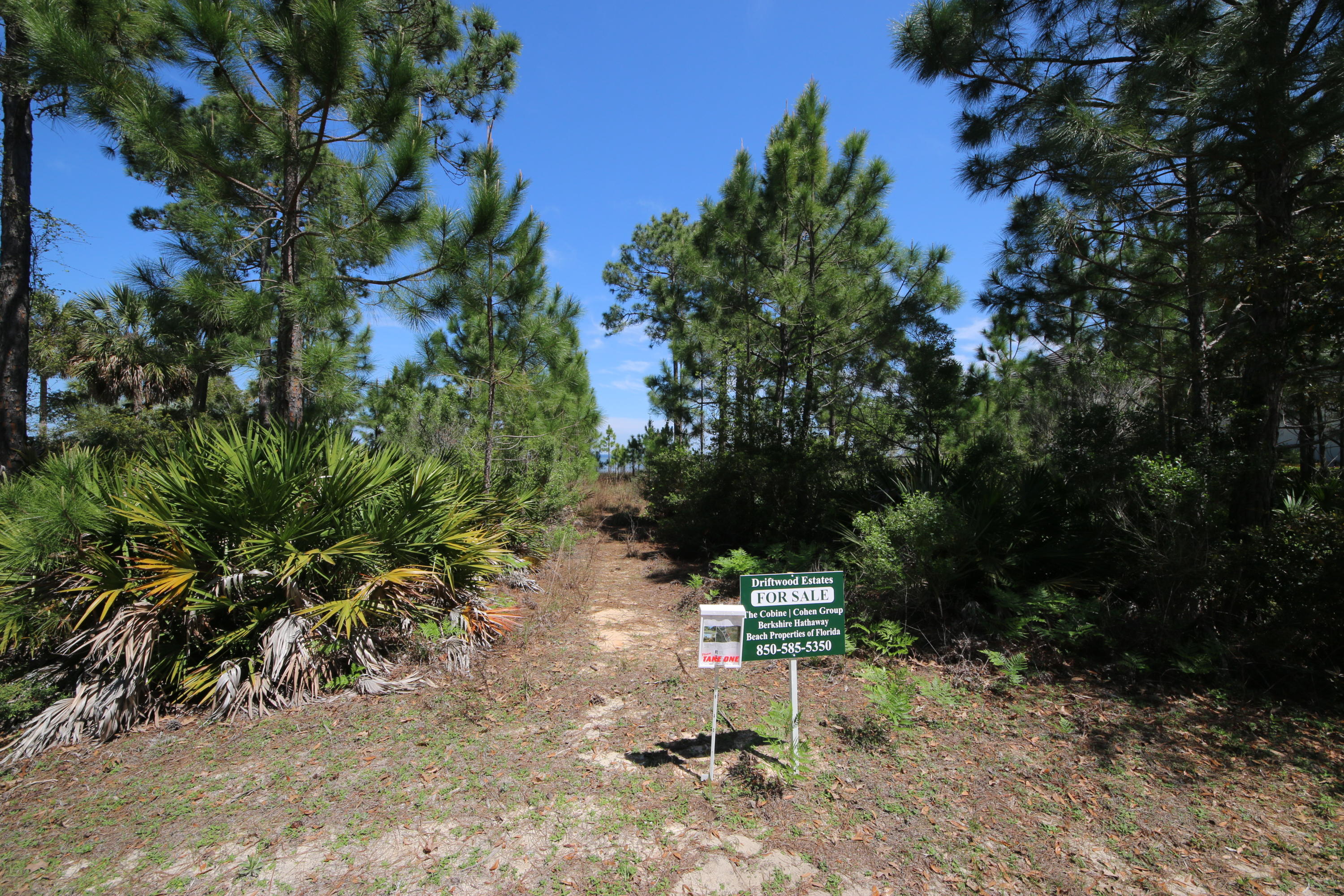 Lot 11 Driftwood Point Road Santa Rosa Beach, FL 32459 - Photo 19 of 21 Gallery Image 19