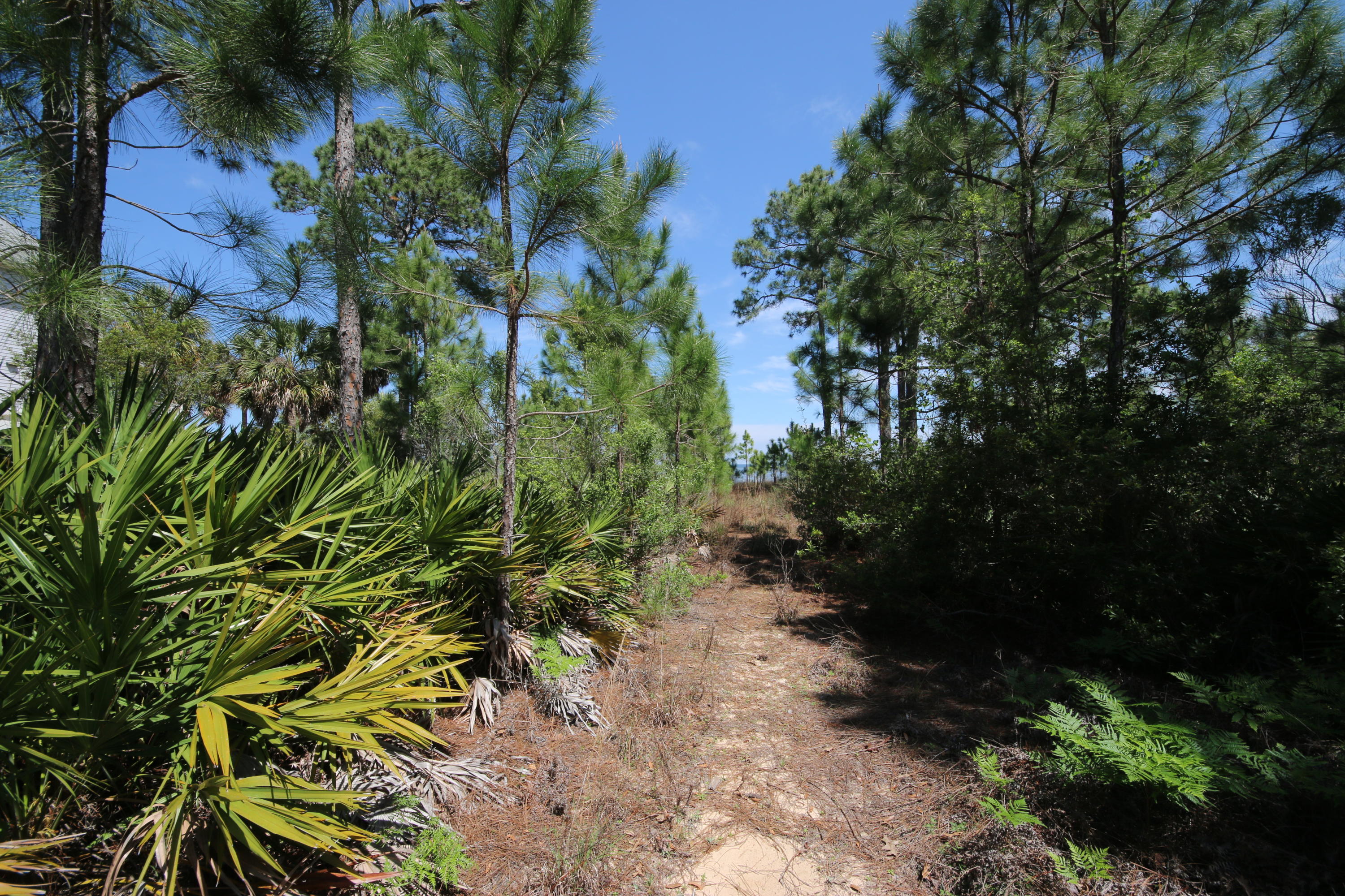 Lot 11 Driftwood Point Road Santa Rosa Beach, FL 32459 - Photo 9 of 21 Gallery Image 9