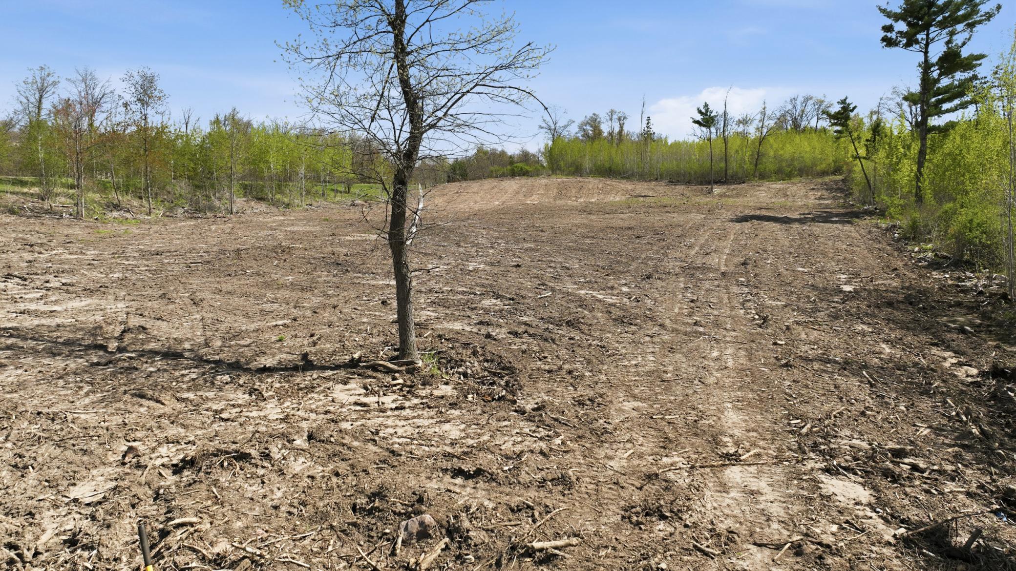 Lot 2 25th Street Cameron, WI 54822 - Photo 14 of 17