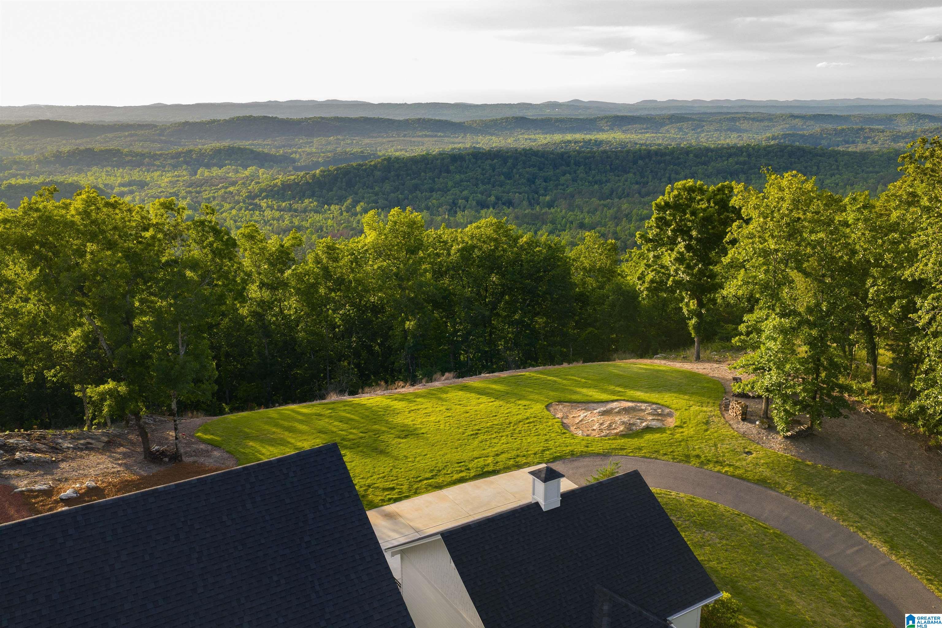 3589 Springstone Trail Leeds, AL 35094 - Photo 13 of 94 Gallery Image 13