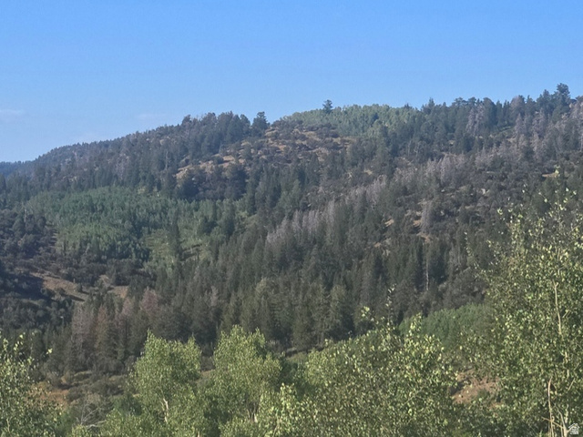 4000 Ant Flat Road, Unit 53 Huntsville, UT 84317 - Photo 3 of 11 View of mountain backdrop featuring a forest