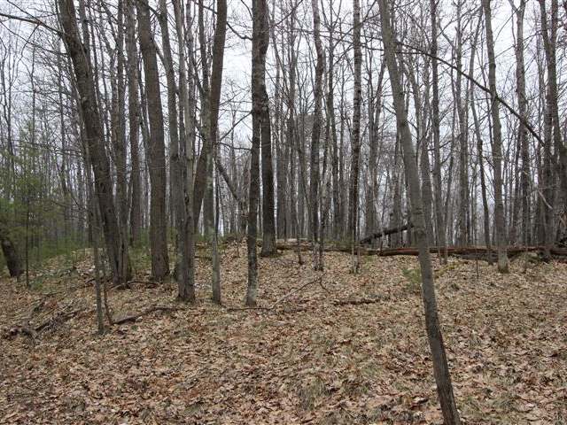 7834 Leary Road Minocqua, WI 54548 - Photo 13 of 20 Gallery Image 13