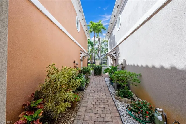a potted plant sitting in front of a window