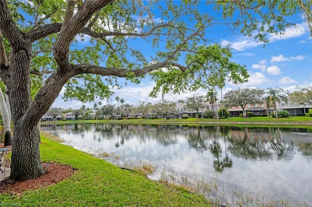 a view of a lake with a yard and large trees