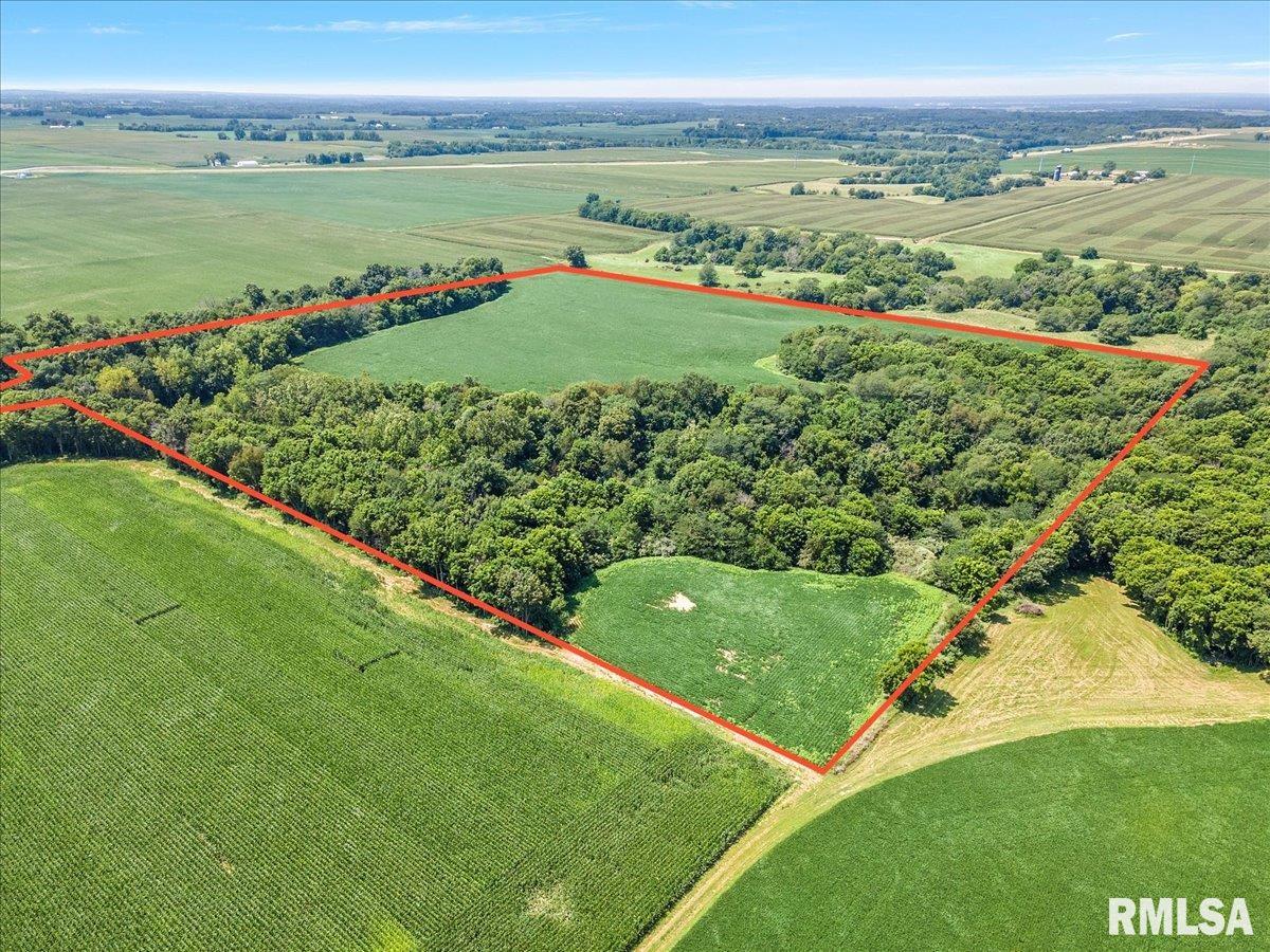 1909 St Pauls Church Road Chapin, IL 62628 - Photo 5 of 7 Gallery Image 5