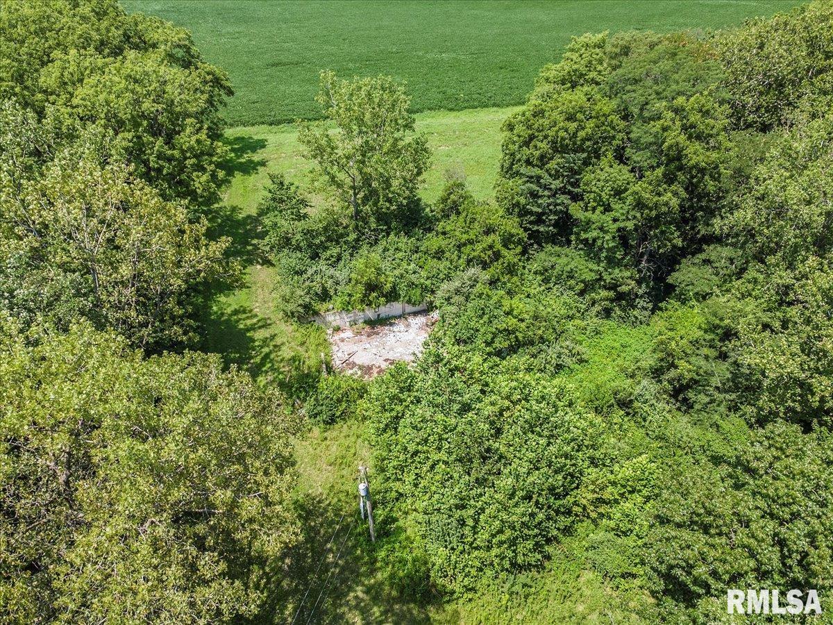 1909 St Pauls Church Road Chapin, IL 62628 - Photo 7 of 7 Gallery Image 7