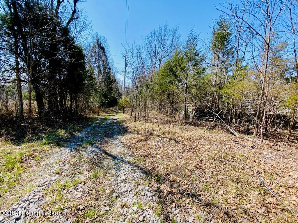 2723 Tatum Ridge Road Willisburg, KY 40078 - Photo 7 of 42 007_79791041