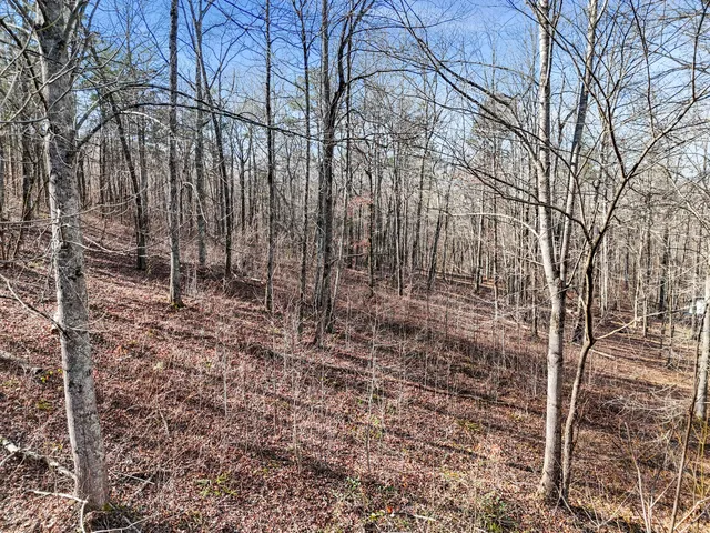 $40,000 | 1014 Tanya Drive, Whitwell, TN 37397