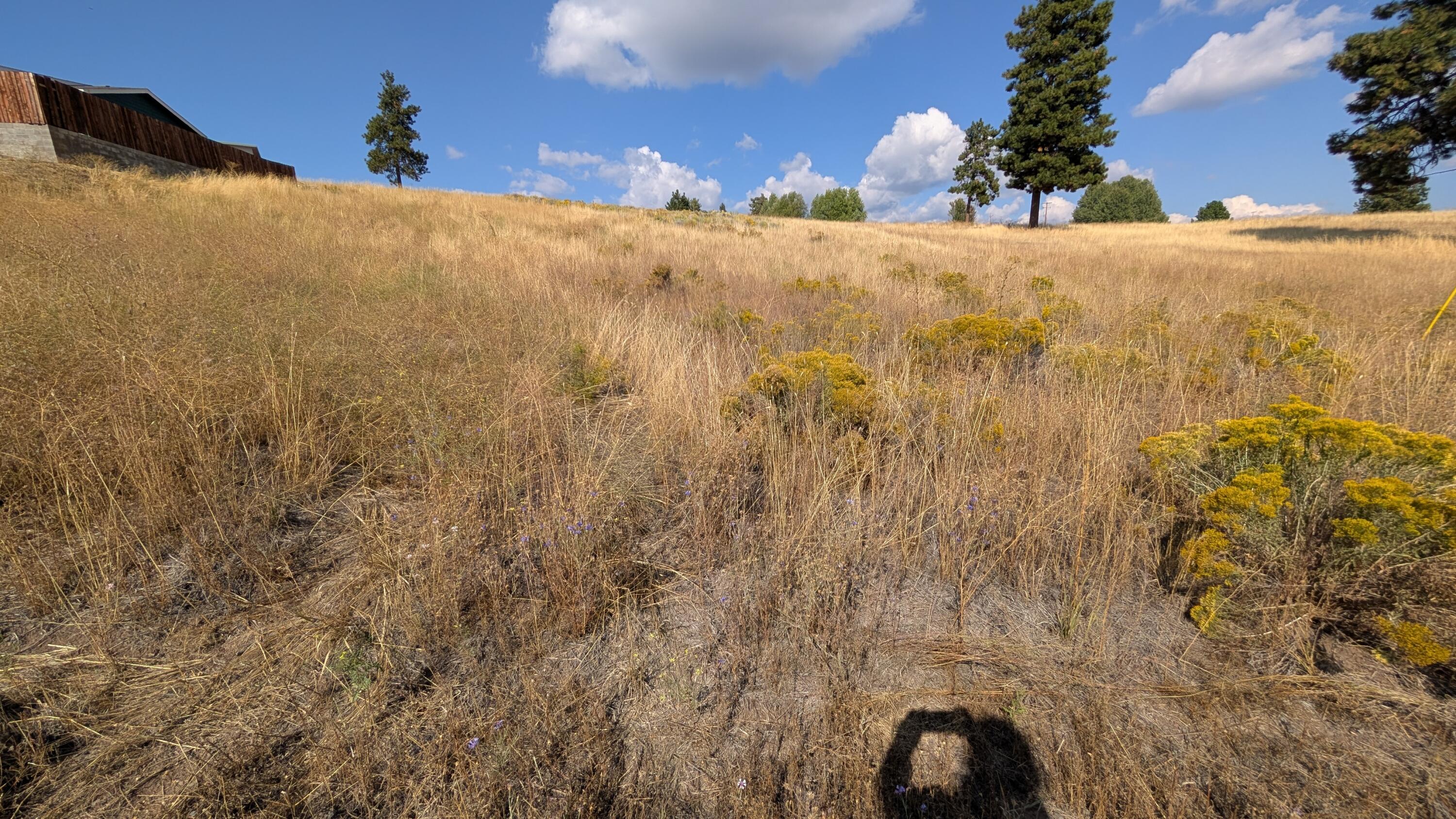 Cloutier Drive, Unit 8 Chiloquin, OR 97624 - Photo 2 of 5 1000007676