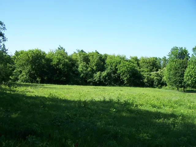 $48,000 | 6109 Whiting Drive, McHenry, IL 60050